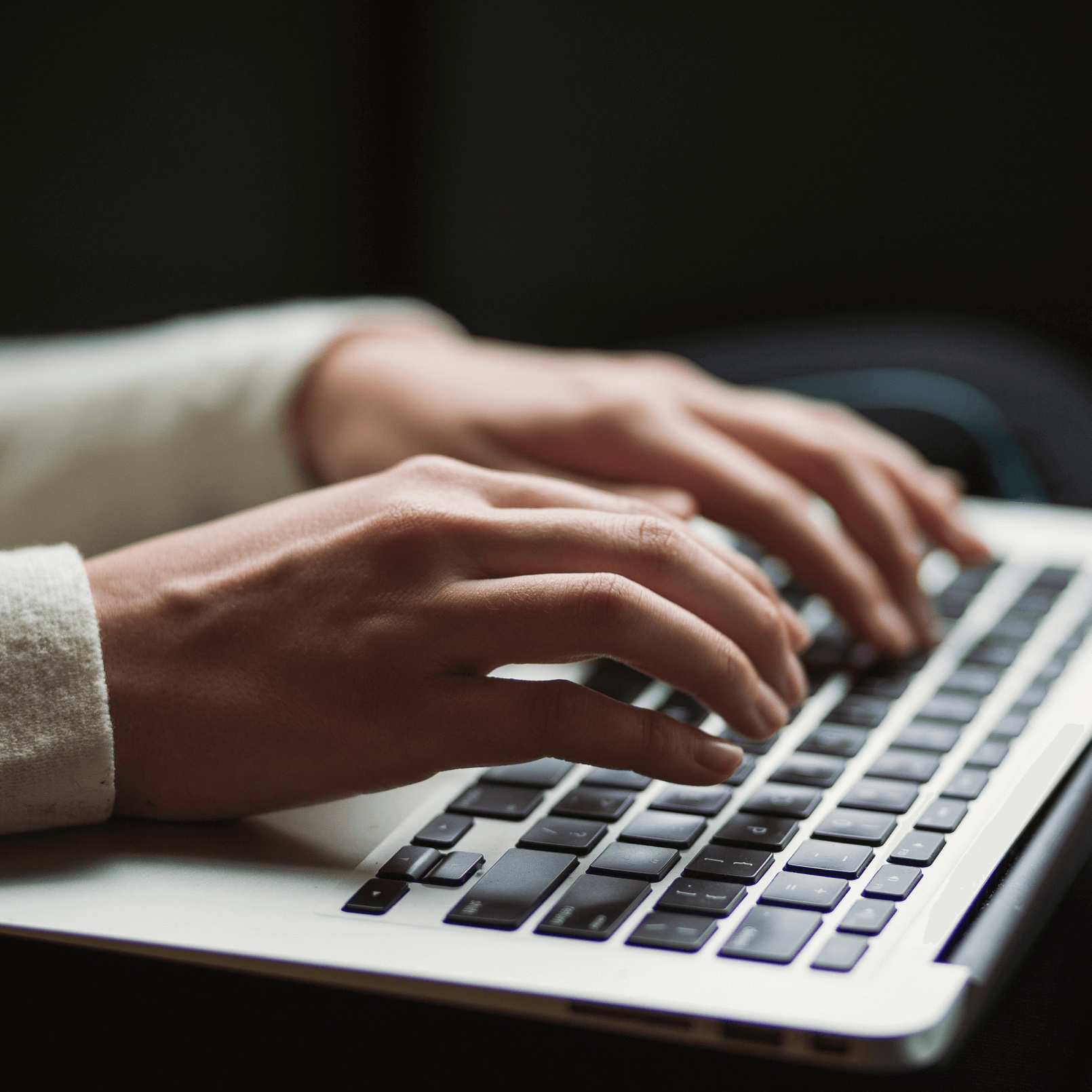 Web Developer Career Web Developer at Two Three Bird